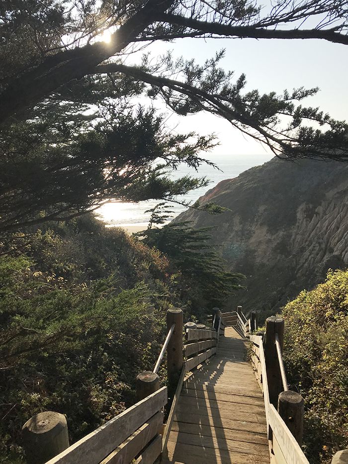 santa monica puente