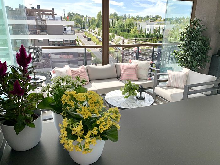 TERRAZA EXTERIOR